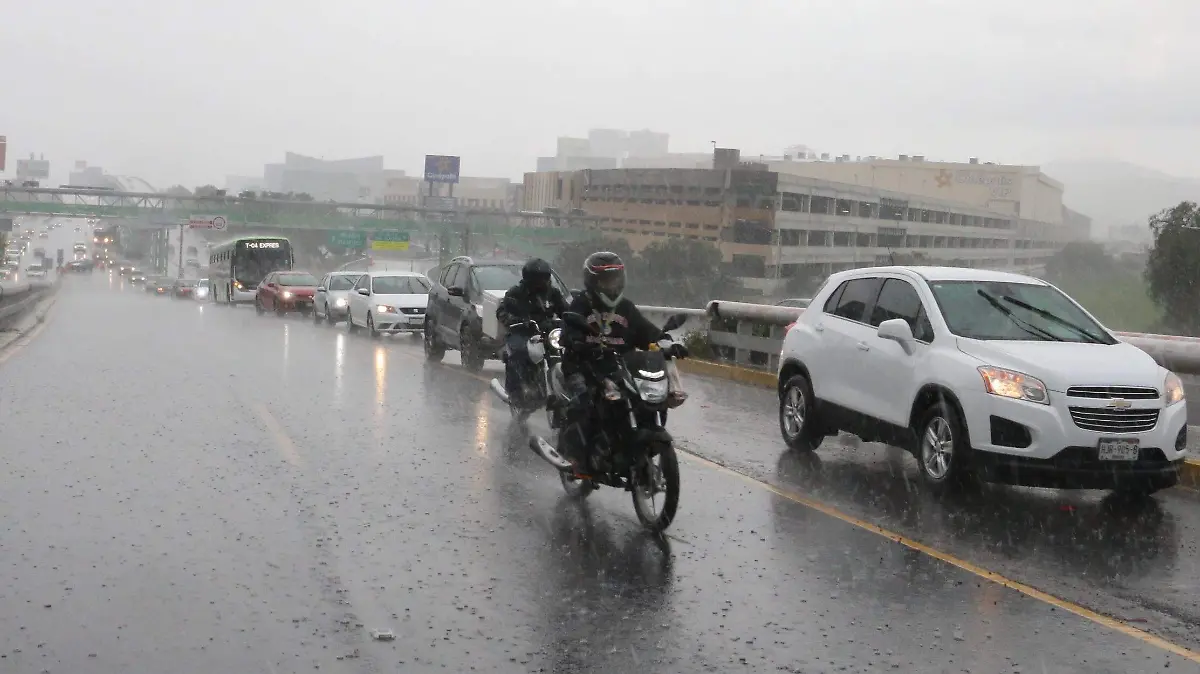 LLUVIA F D L VEGA (1)