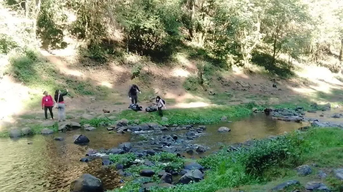 tepo