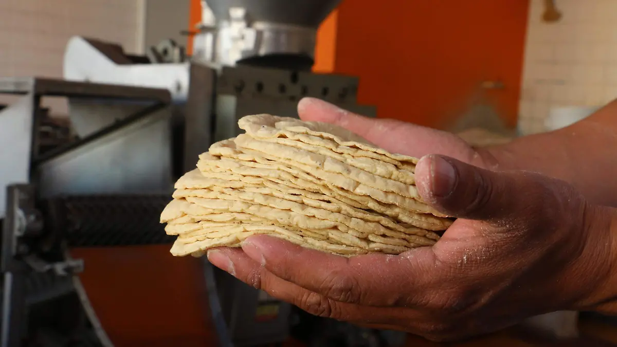 TORTILLA F D L VEGA (1)