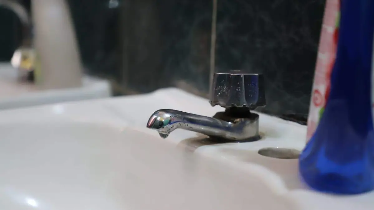 WhatsApp Image 2020-09-17 at 19.35.41