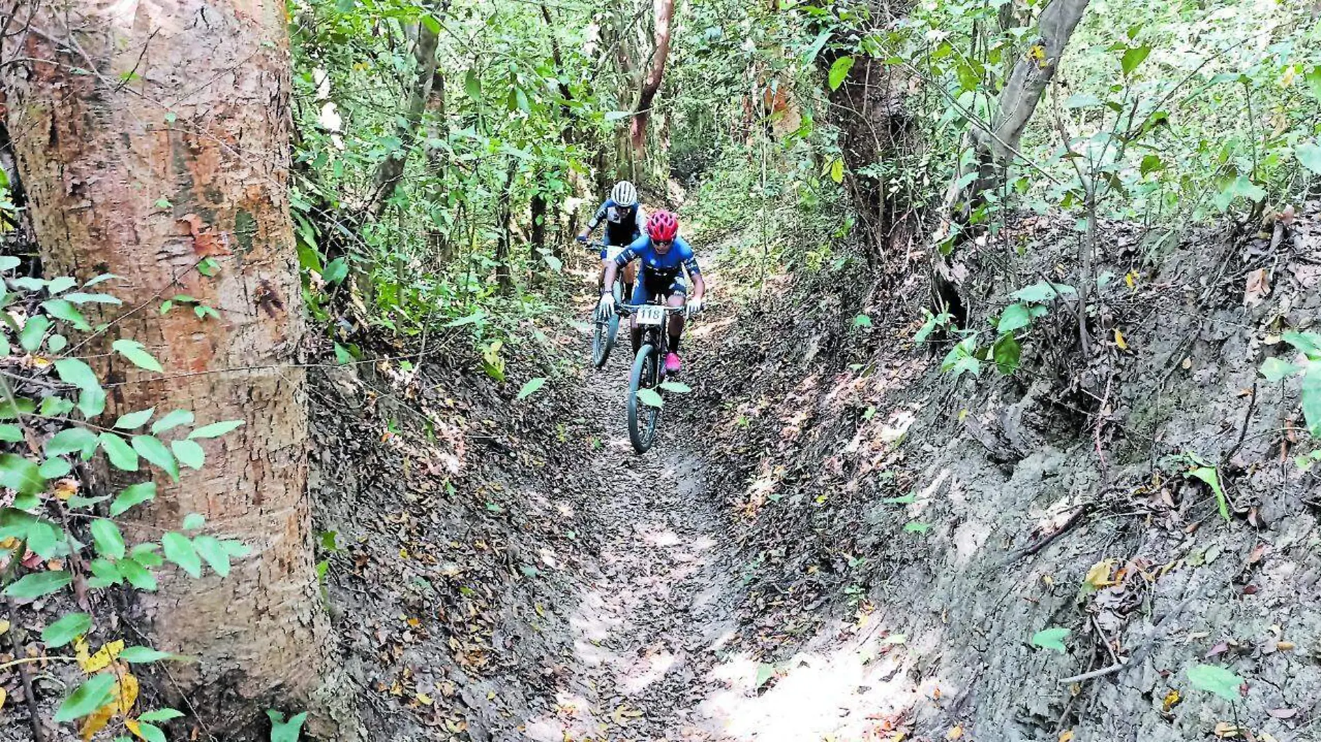 Ciclistas