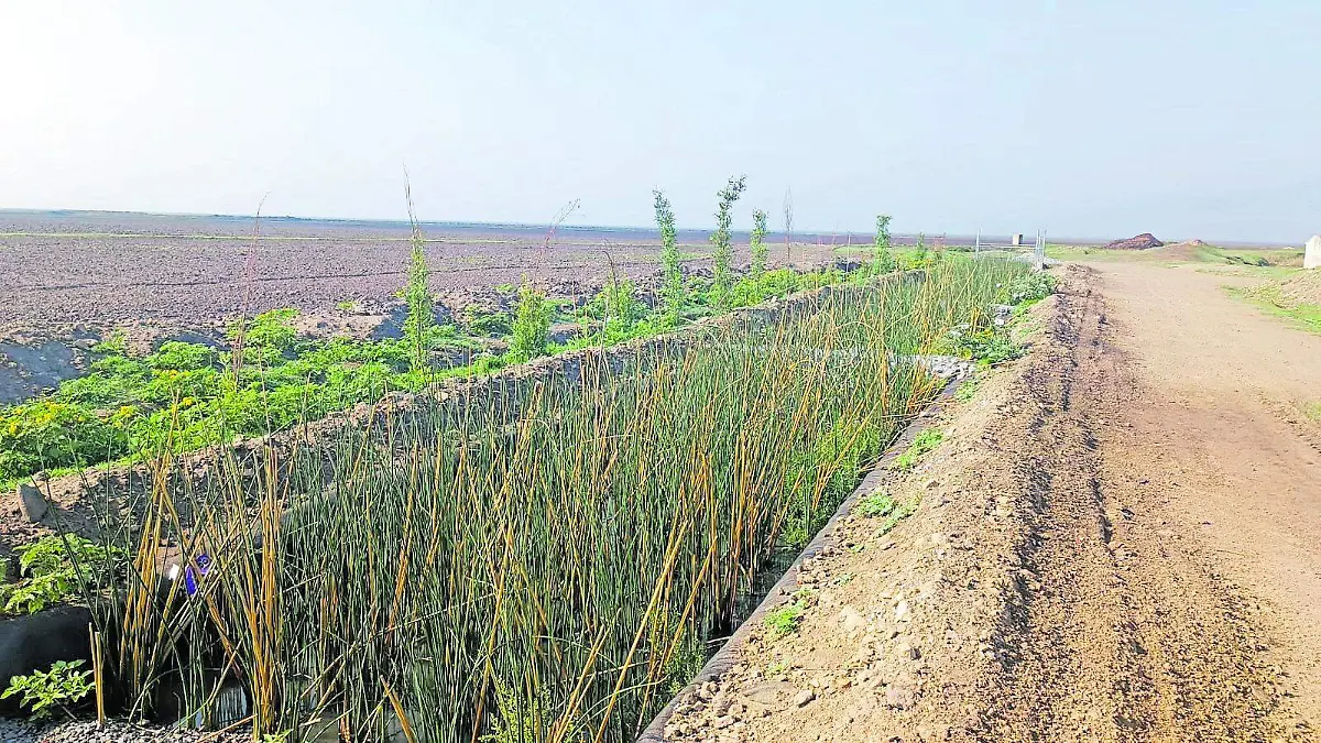 BIOFILTRO22 (1)_CMYK