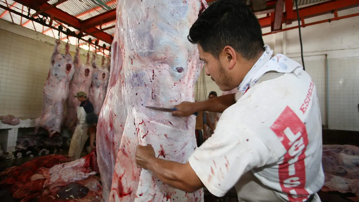 RASTRO PACHUCA F D L VEGA (2)