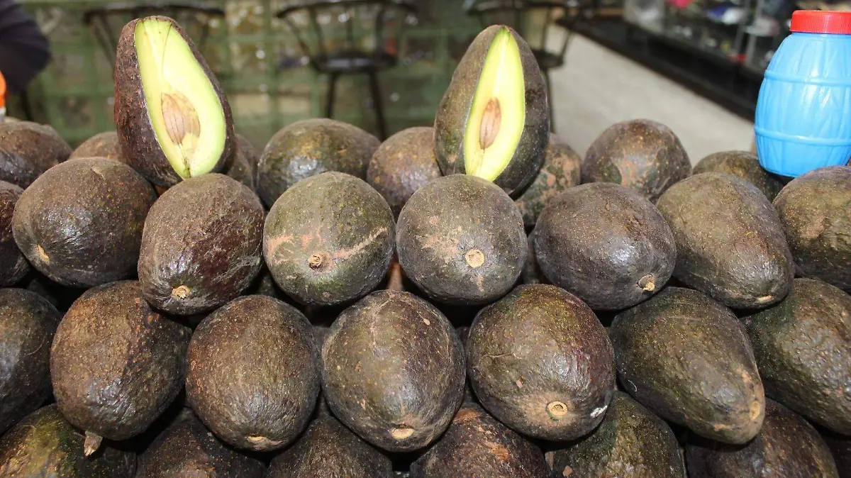 SUBE PRECIO AGUACATE (3)