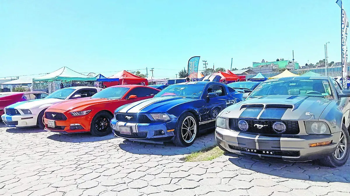 MUSTANGS (3)_CMYK