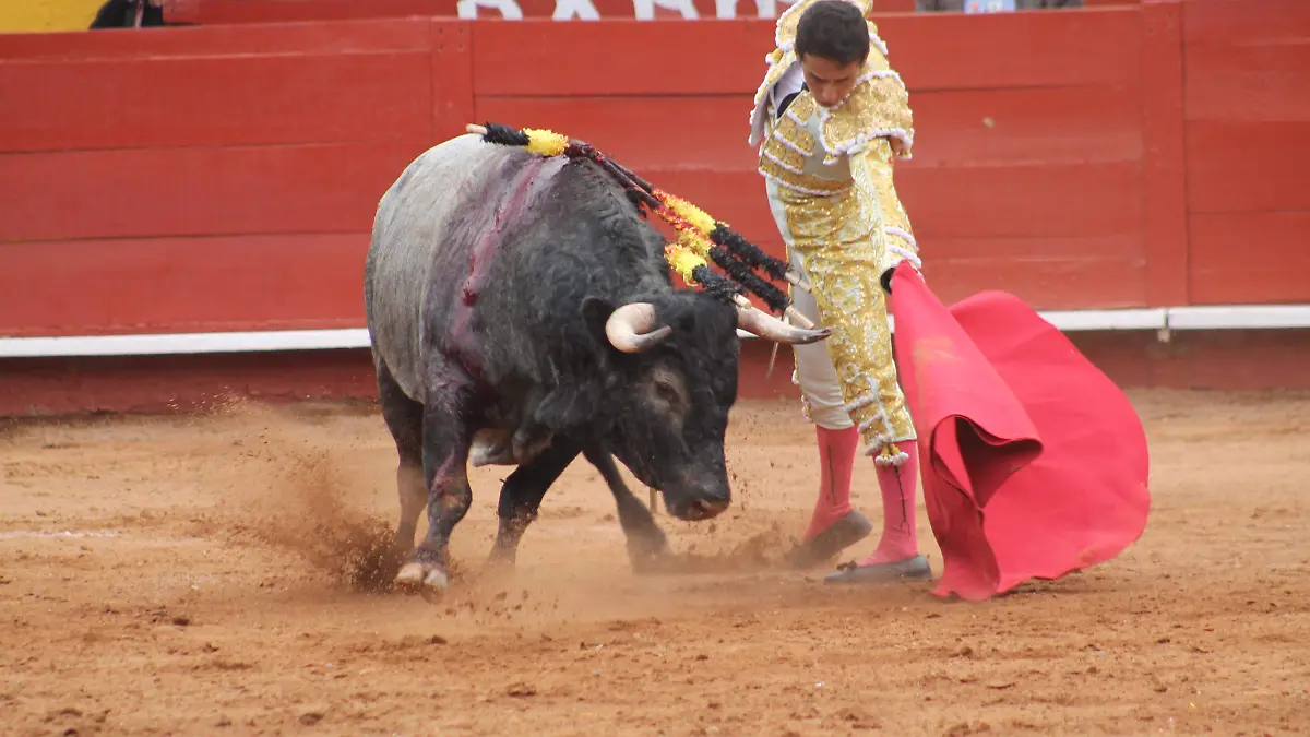 TOROS1