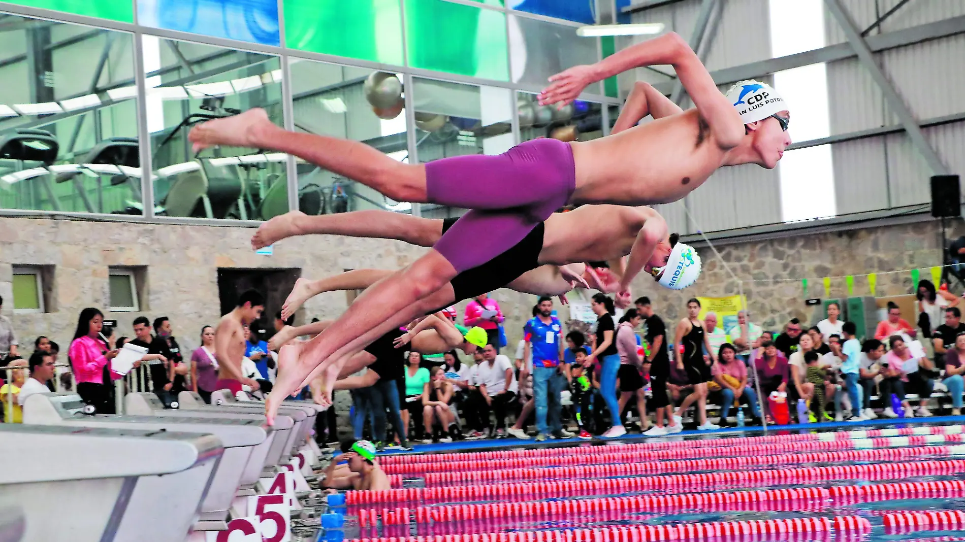 NATACION_CMYK