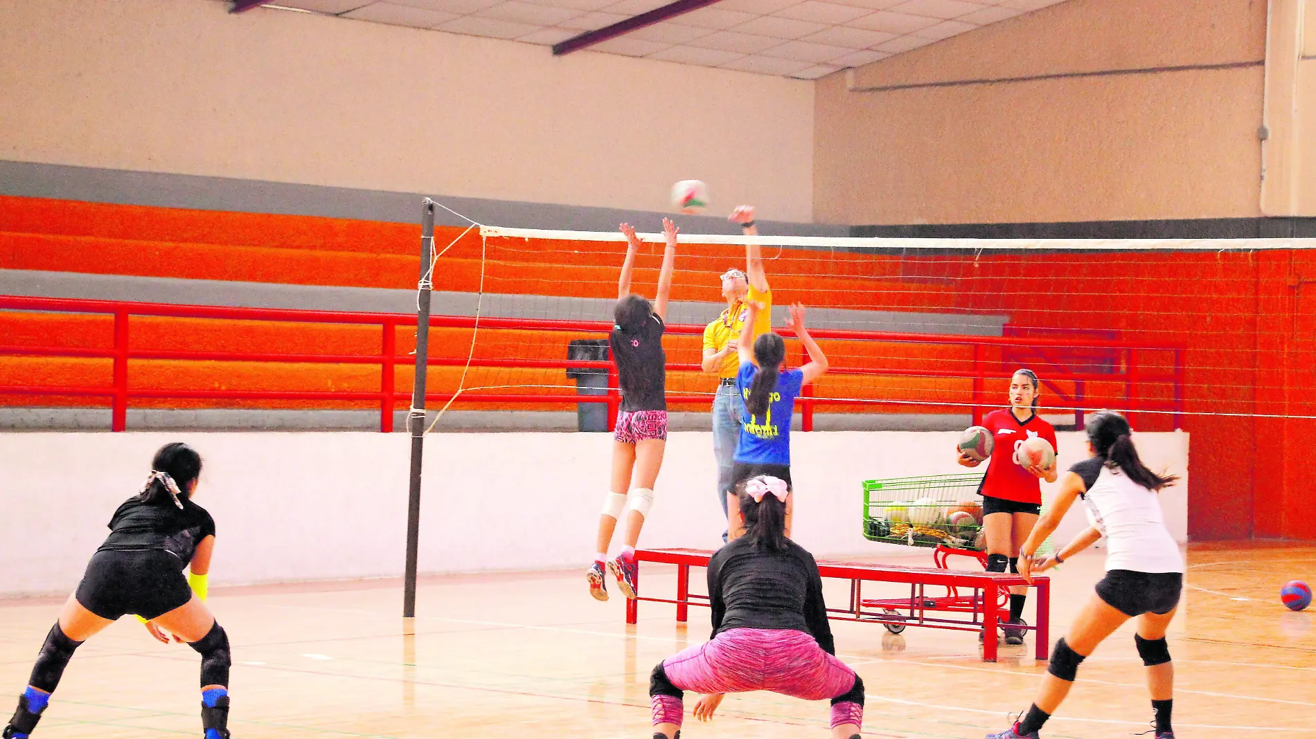 VOLEIBOL_CMYK