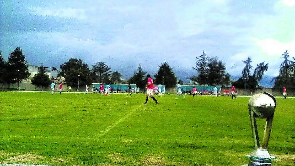 PÁGINA 35 F-3