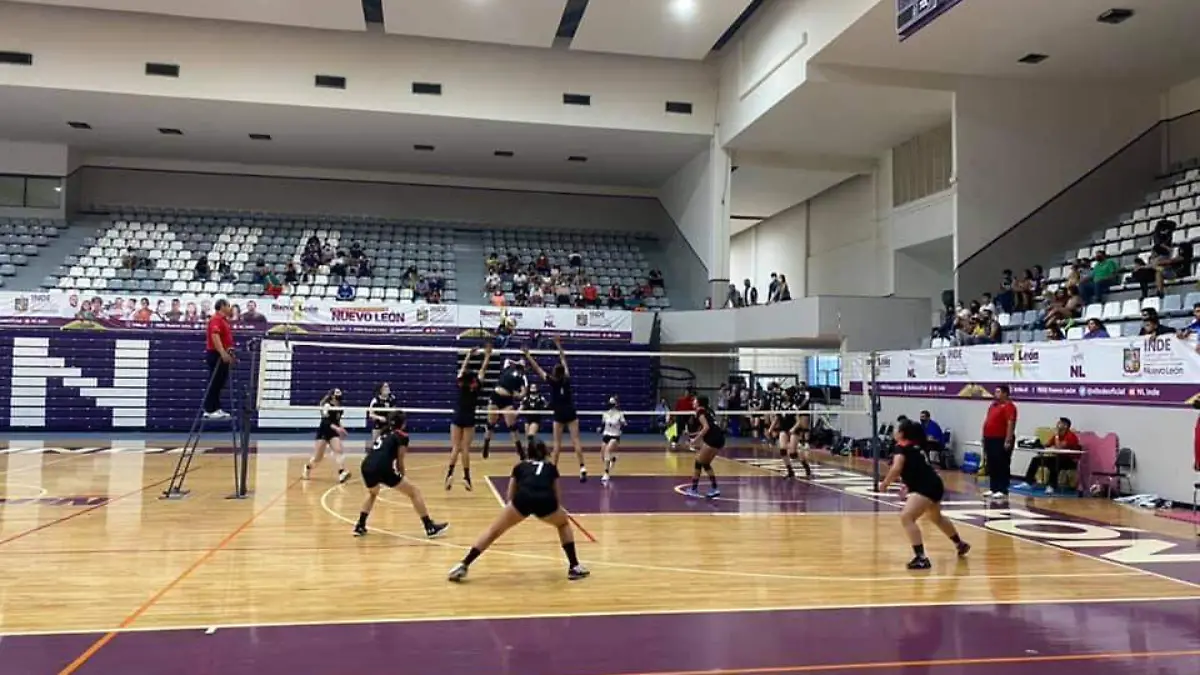 VOLEIBOL