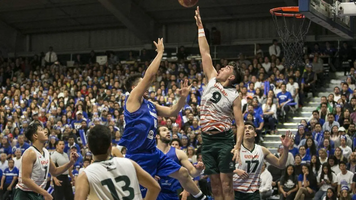 WhatsApp Image 2019-04-10 at 18.07.29