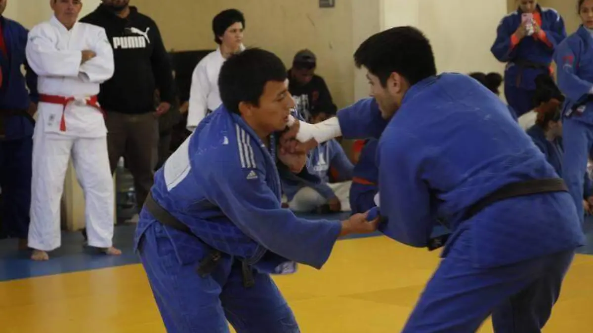 judo