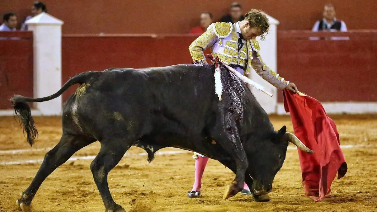 TOROS