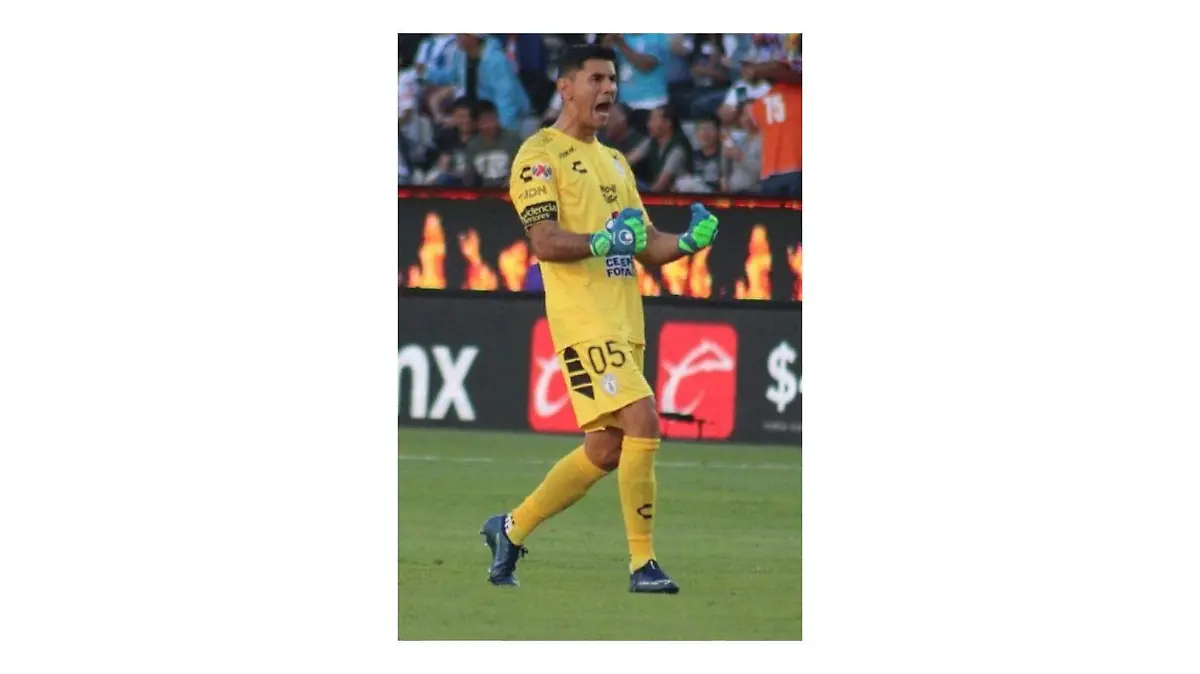 WhatsApp Image 2020-05-12 at 00 (3) (1)