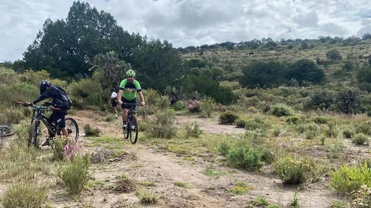 MTB