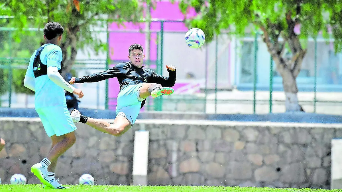 PACHUCA_CMYK