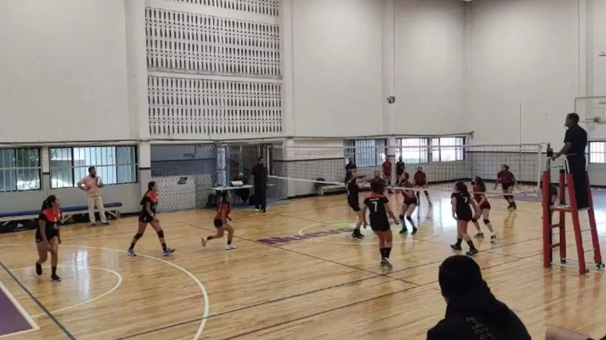 VOLEIBOL DOS