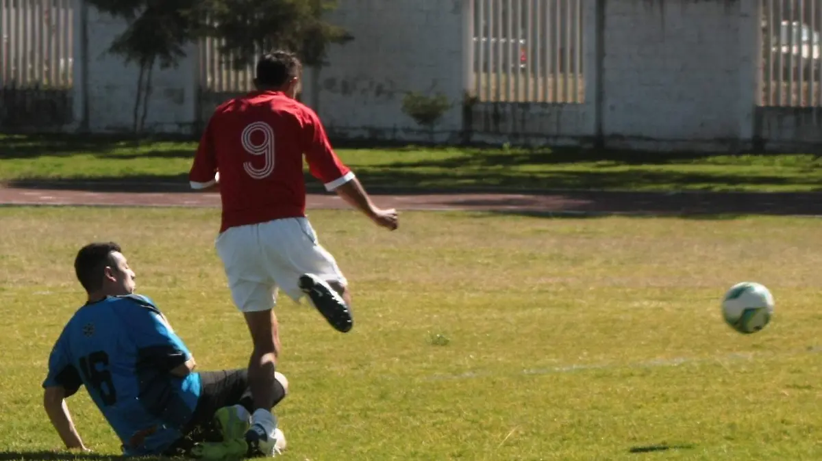 TGO DISTRITAL1