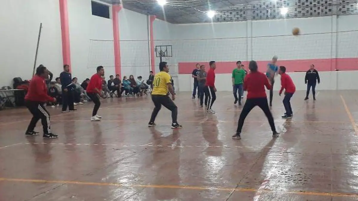 TGO VOLEIBO