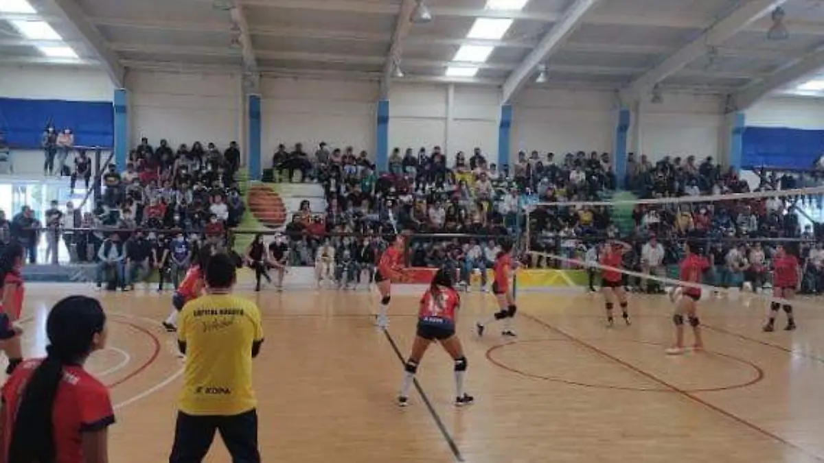 Voleibol 
