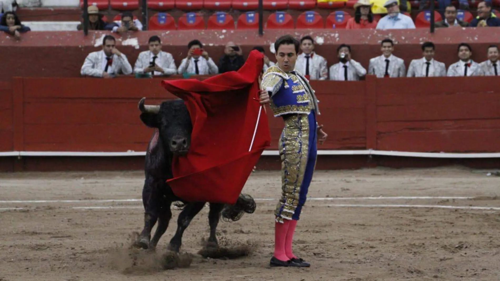 TOROS