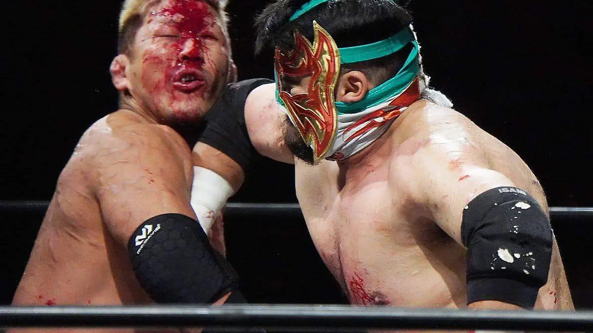 VIOLENTO1