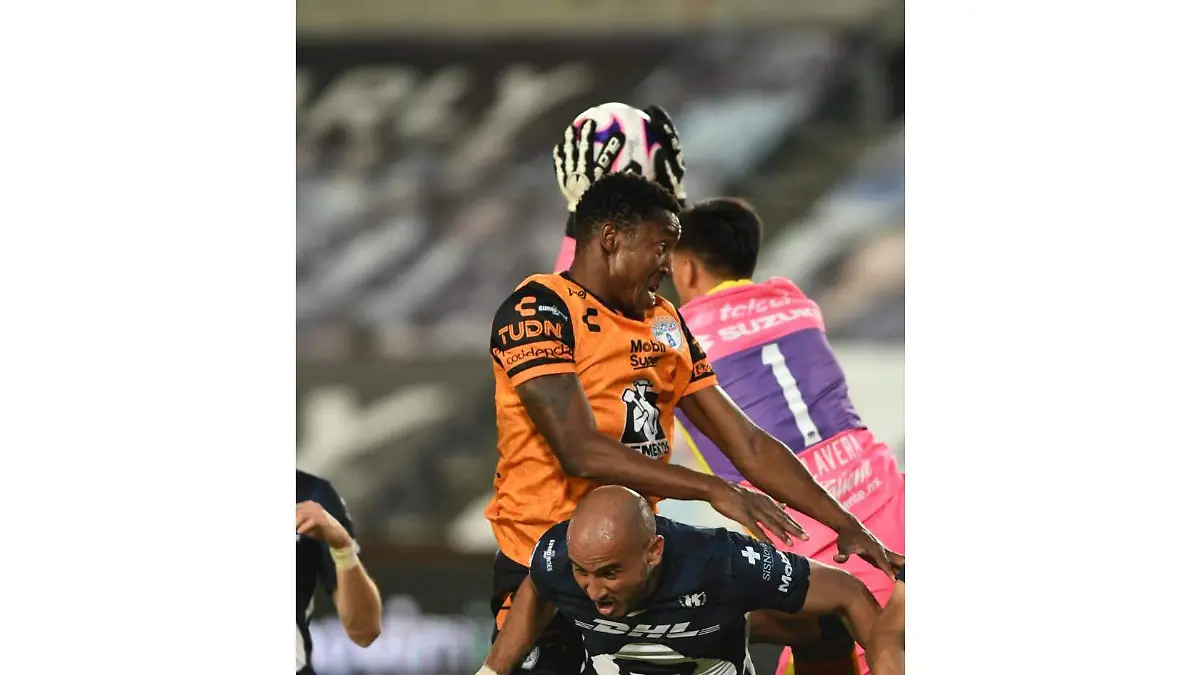 WhatsApp Image 2020-10-30 at 13