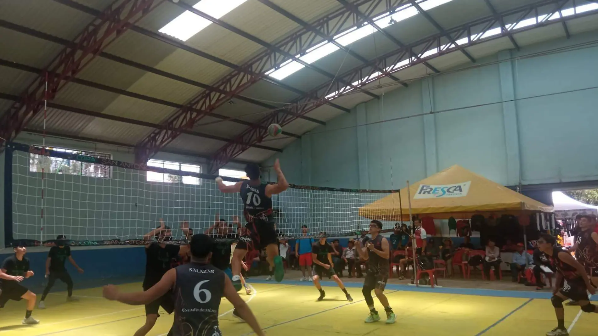 VOLEIBOL