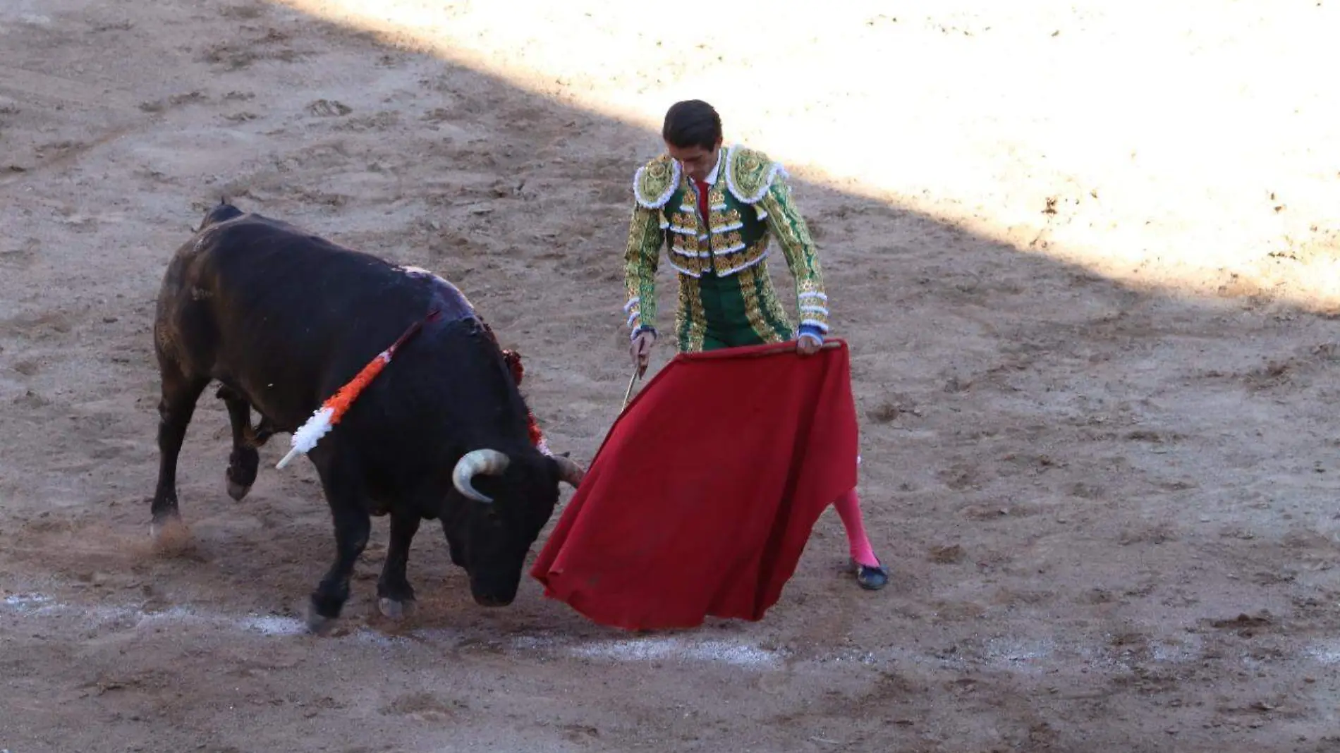 TOROS