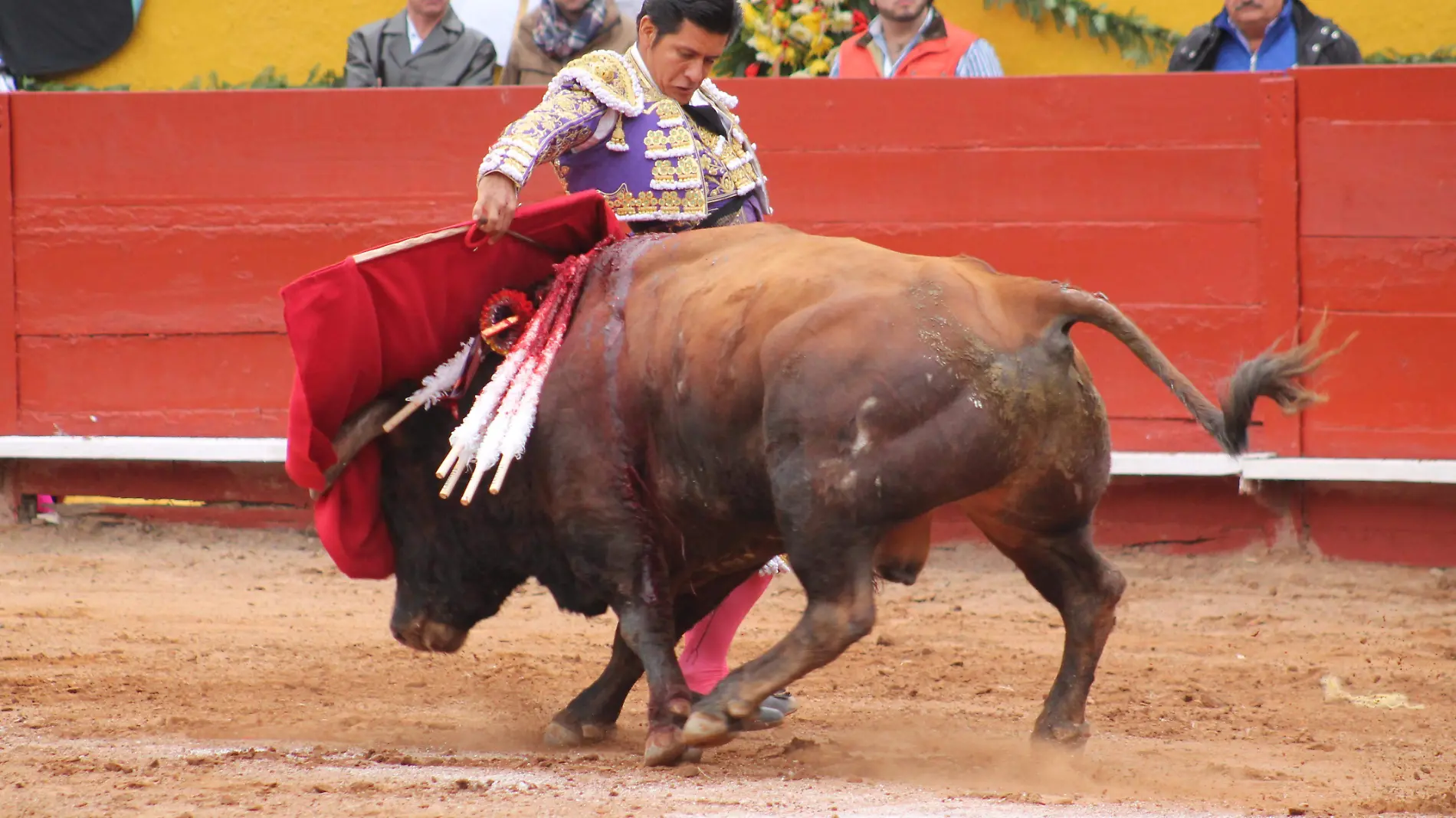 TOROS