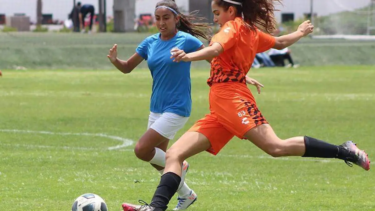 SUB17_1
