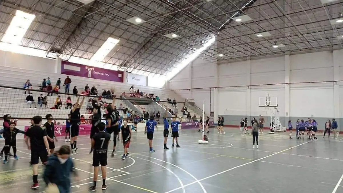 VOLEIBOL