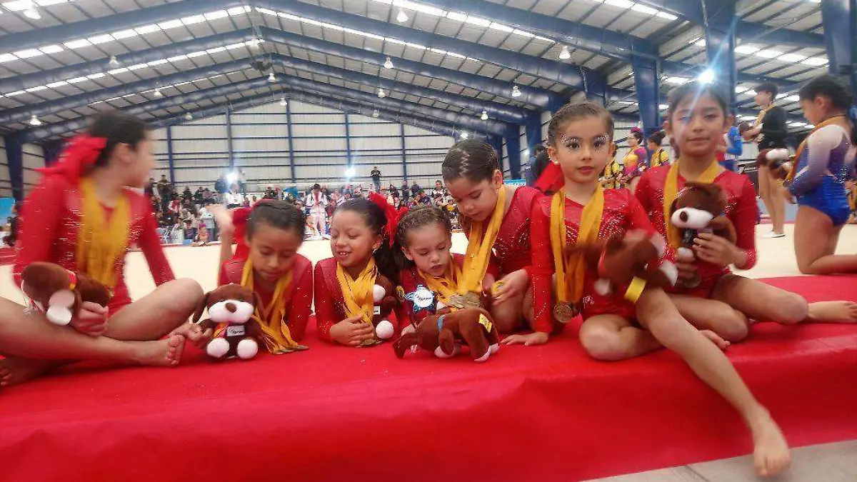 GIMNASTAS deportes (2)