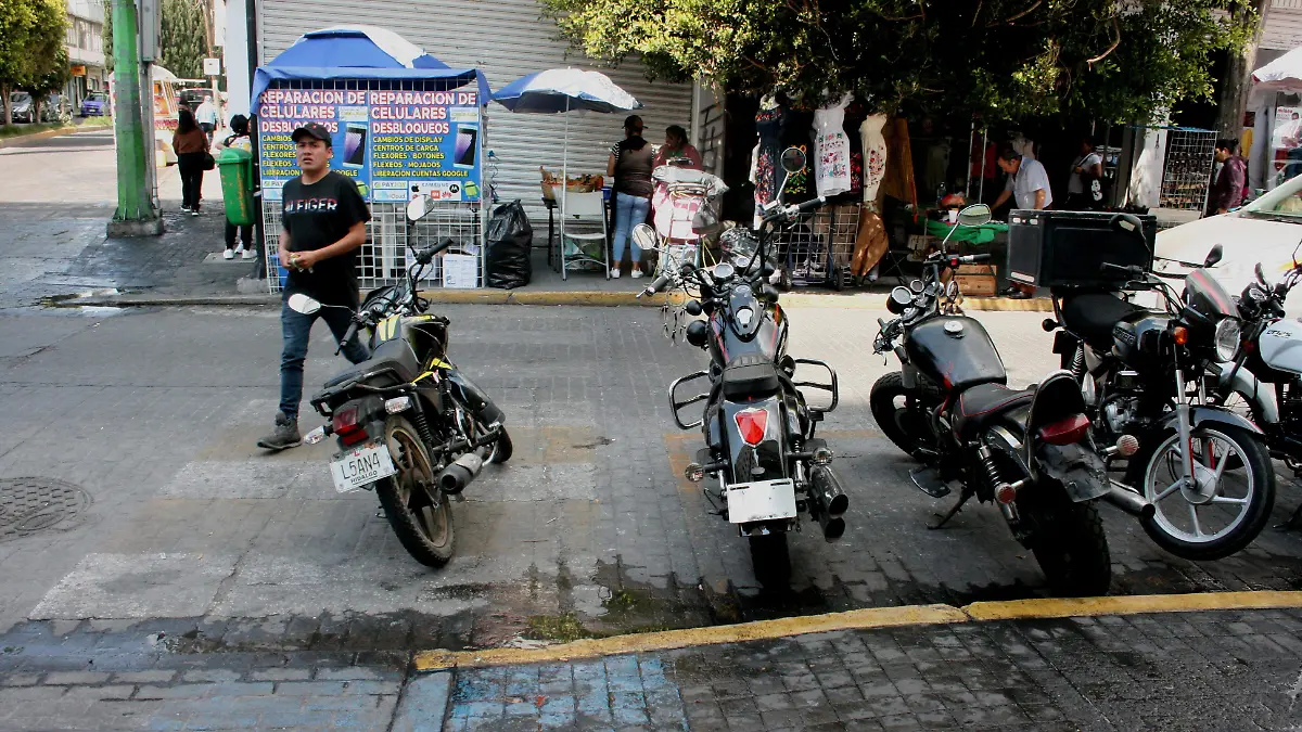 MOTO EN CEBRA F D L VEGA (2)