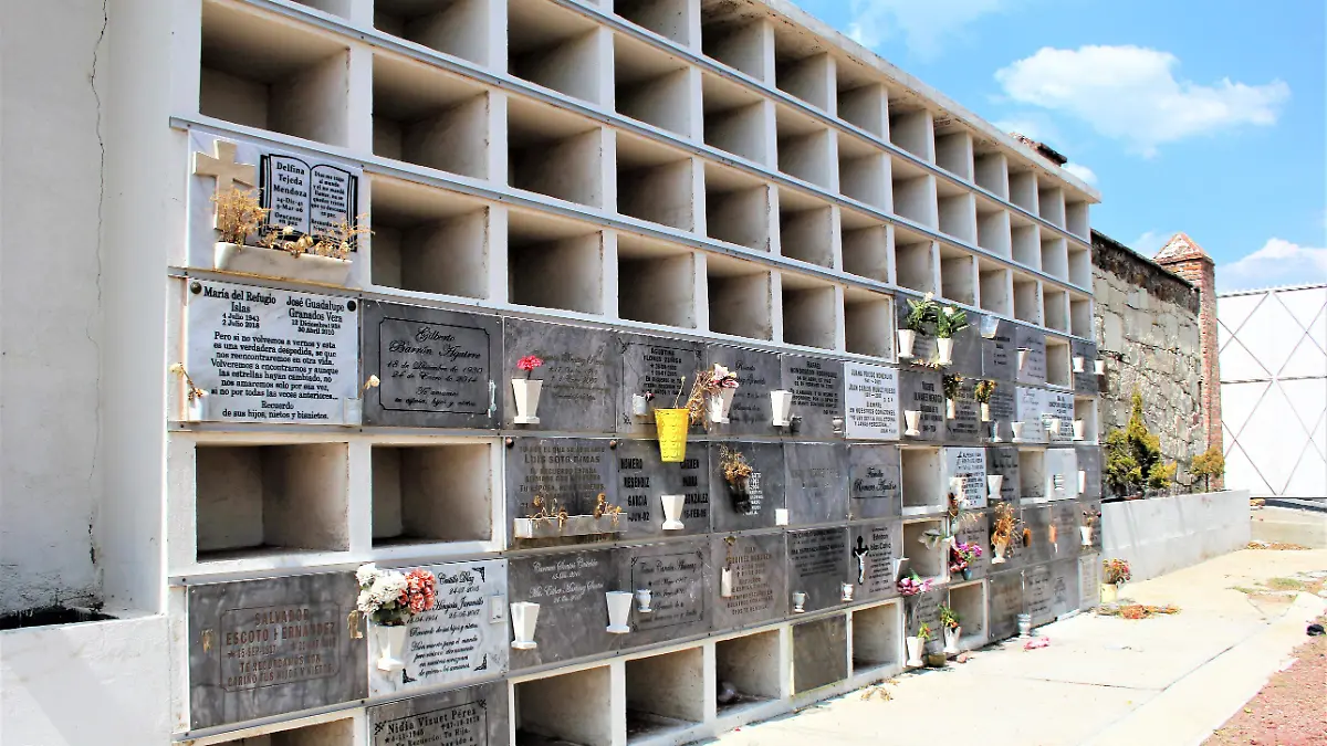 INCINERACIÓN WEN(1)