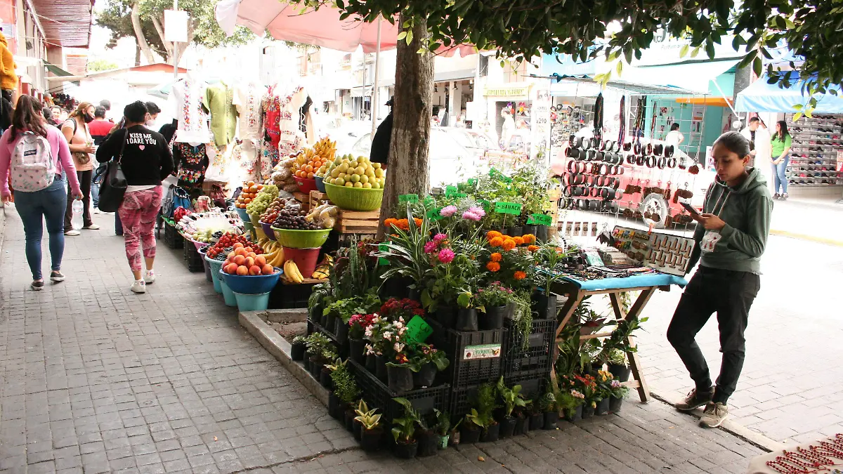 AMBULANTES F D L VEGA