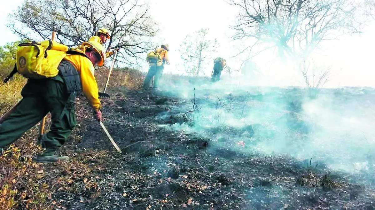Conafor incendios 3
