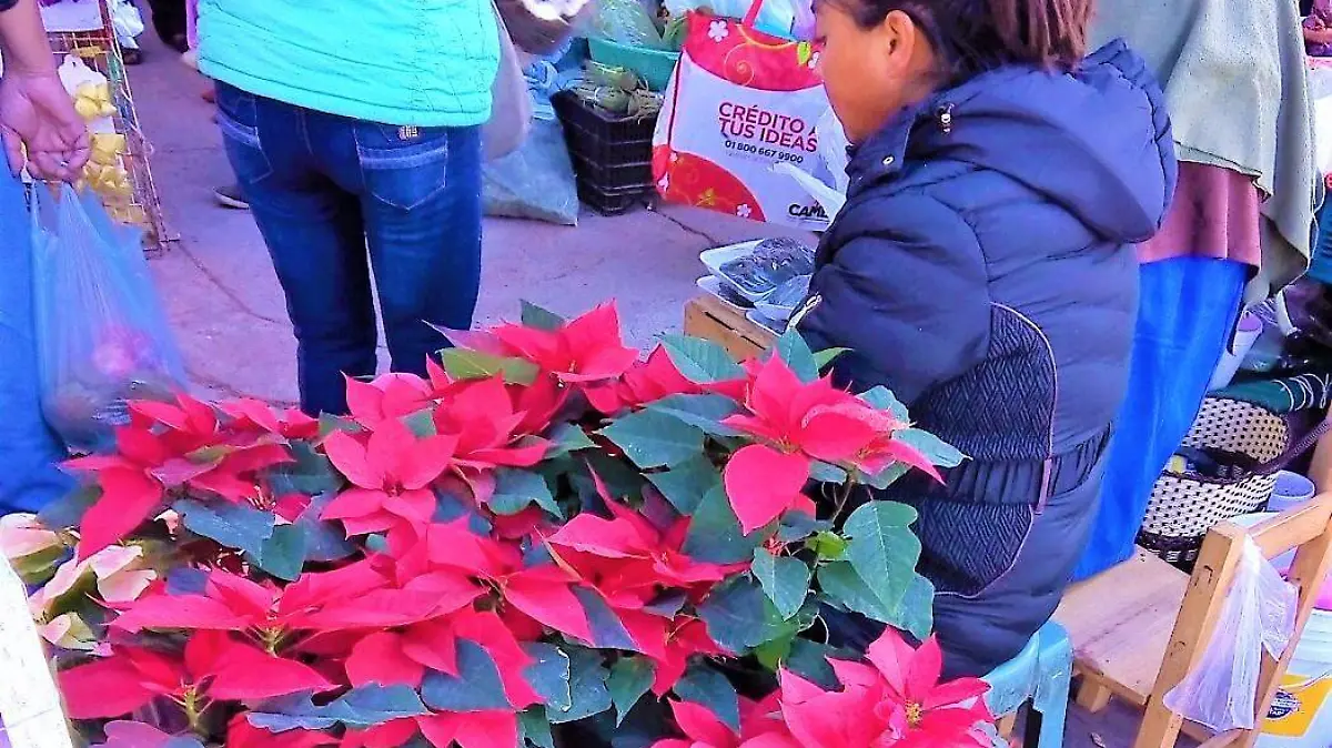 OFRECEN ARTÍCULOS NAVIDEÑOS nota web (1)