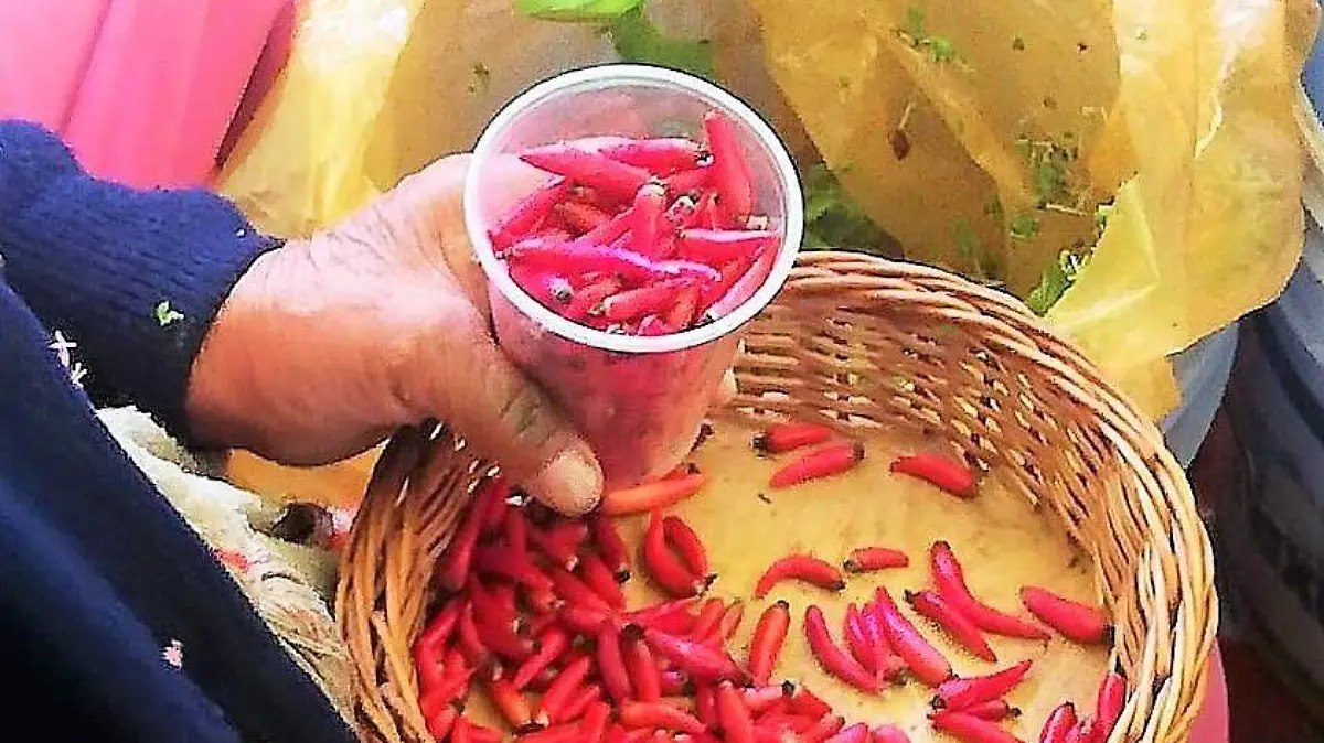 ALIMENTOS EXHÓTICOS 3