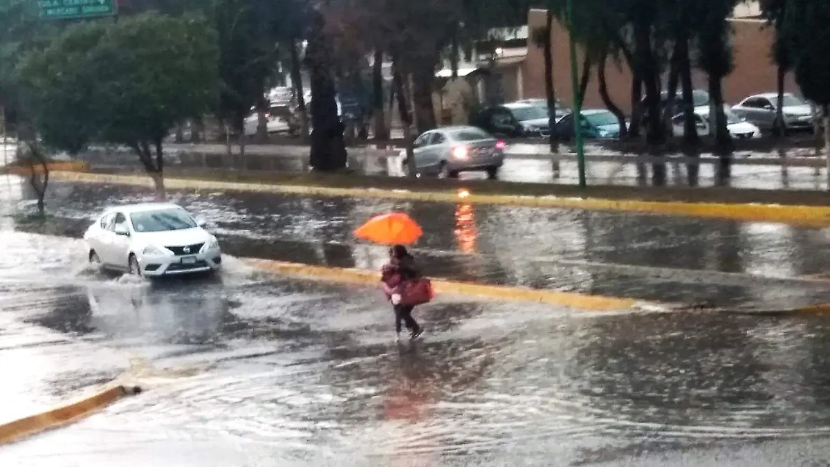 ACTIVAN PROTOCOLOS TRES