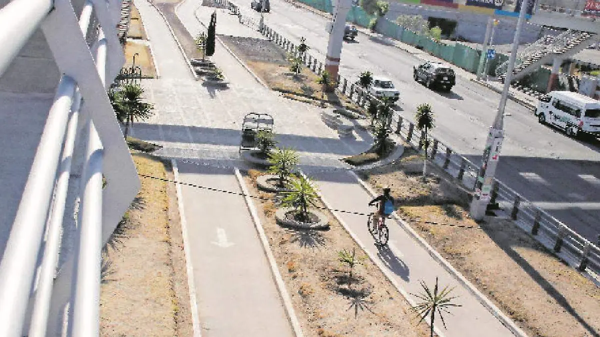 CICLO