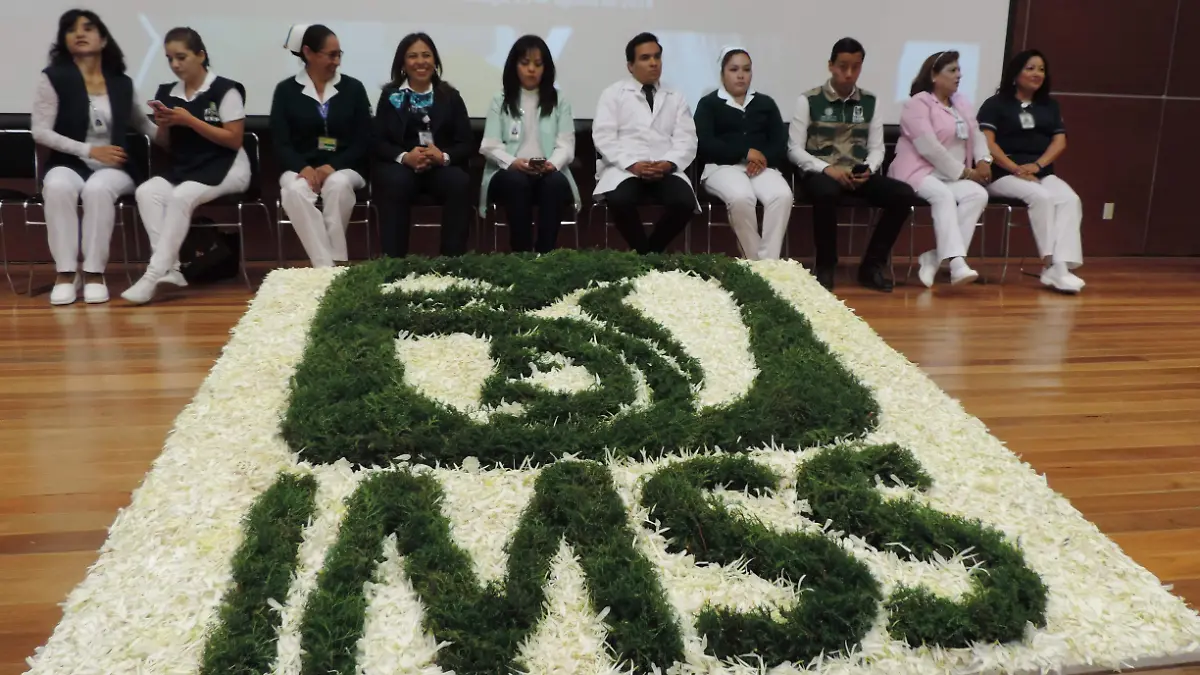 PASES 6 LOC. F-3