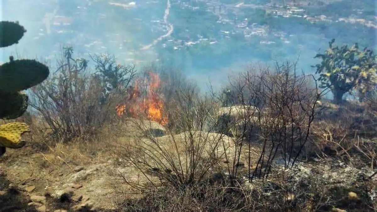 INCENDIO TULA TRES