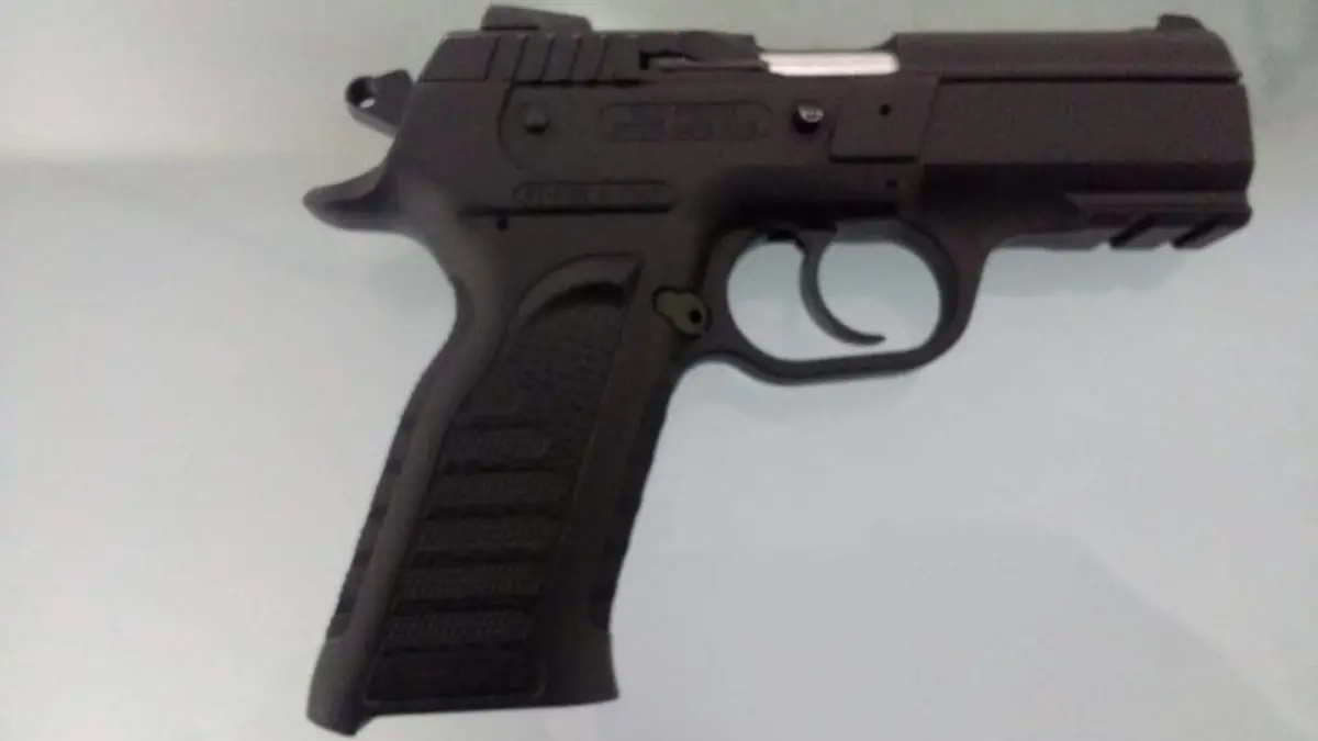 ARMAS PELIGRO EN CASA 1