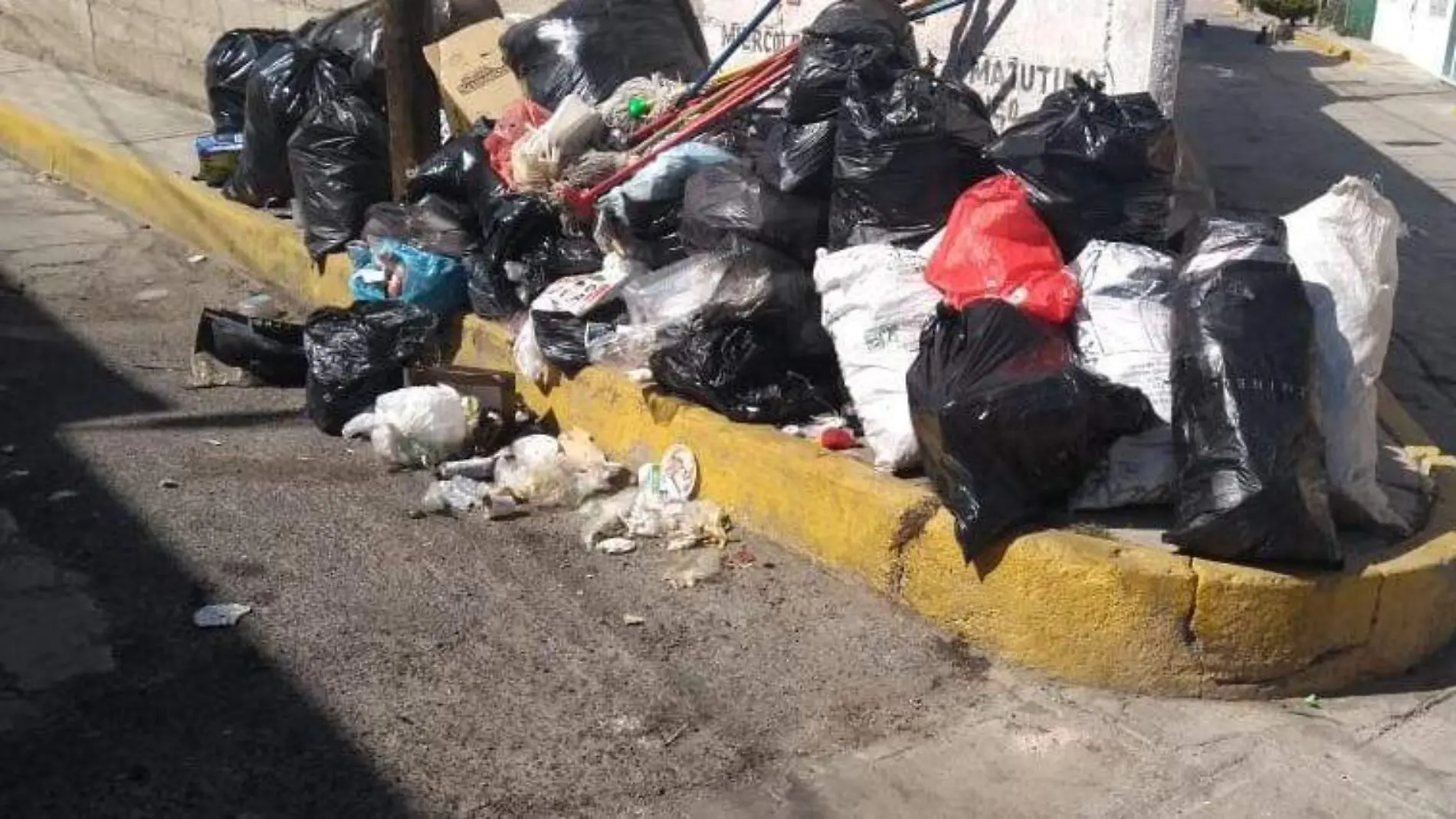 BASURA15