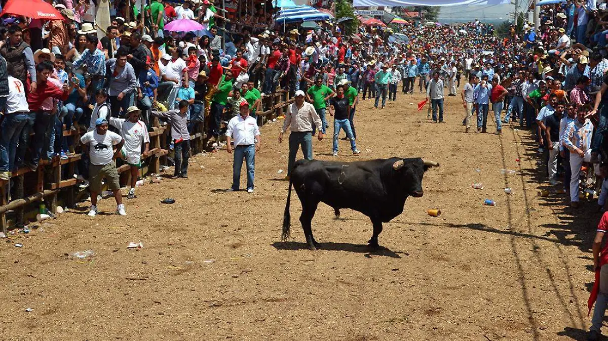 FERIAS (1)