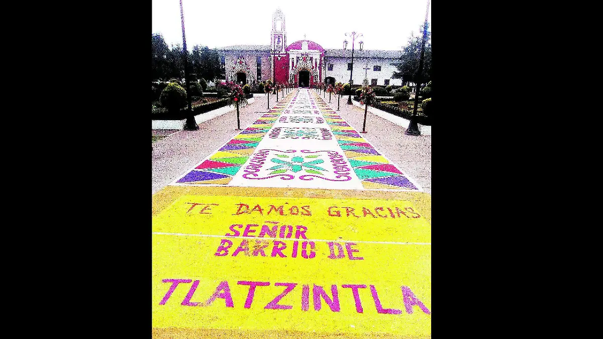 TRADICIONALES TAPETES (1)