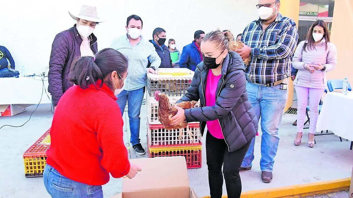 ALIMENTOS 19_CMYK