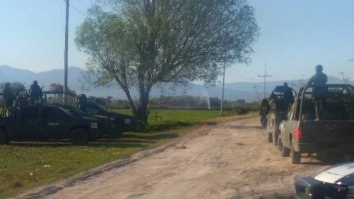 WhatsApp Image 2019-01-21 at 5.54.16 PM