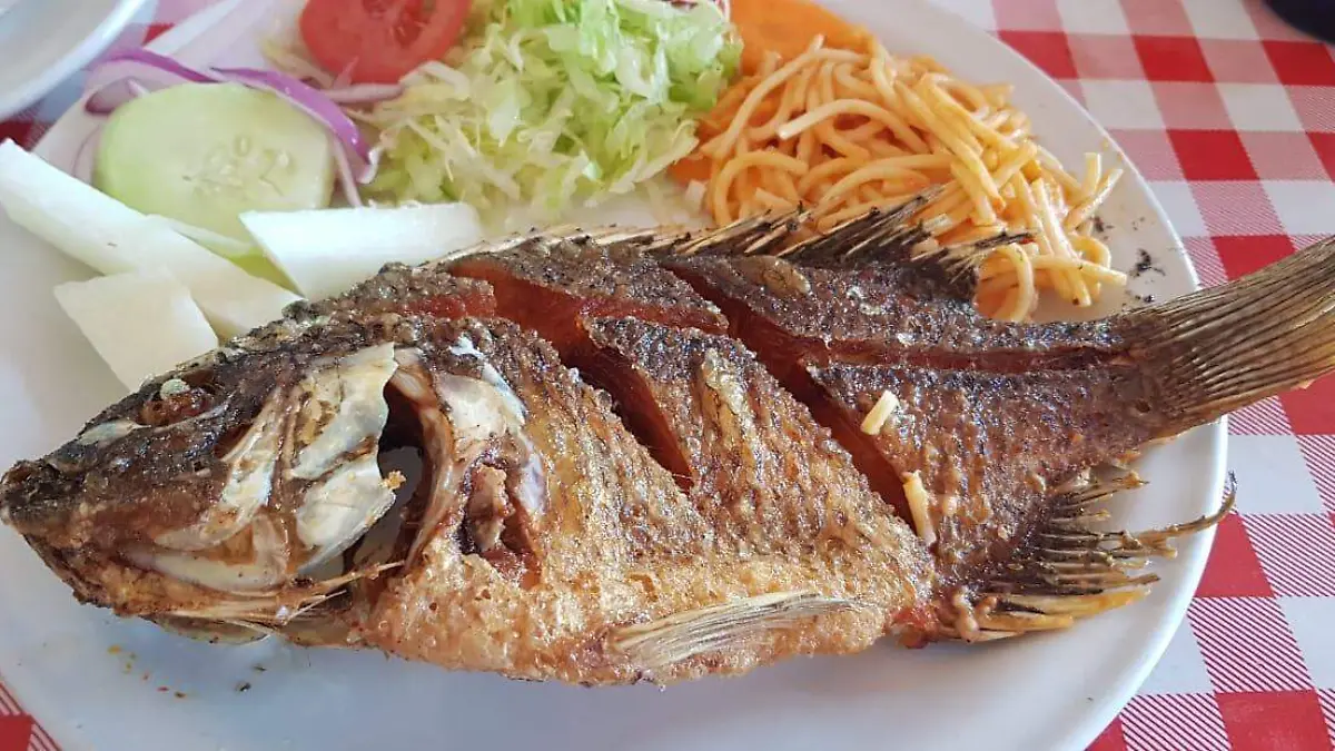 PESCADO 13